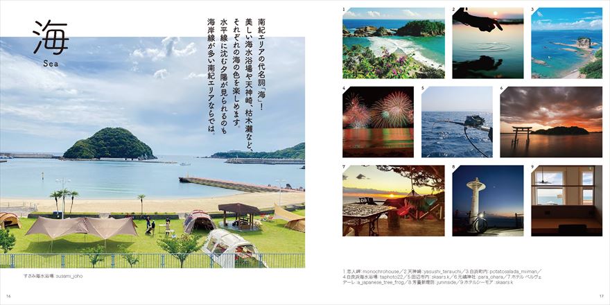 海