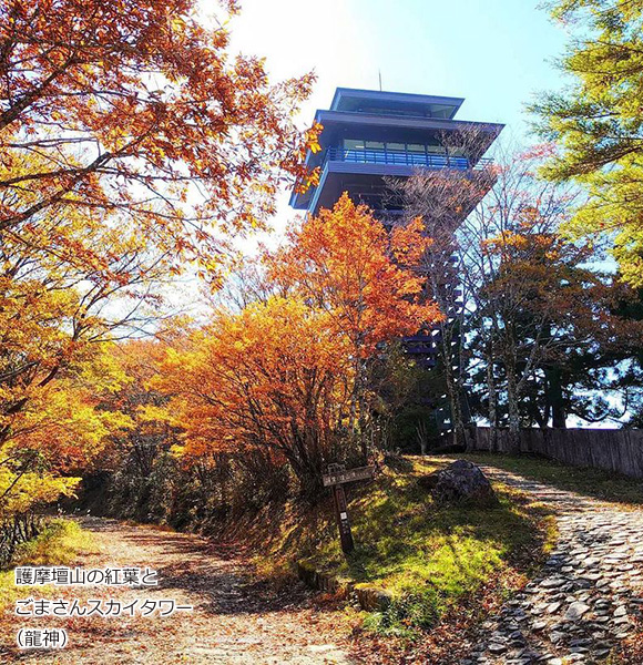 護摩壇山の紅葉（龍神）