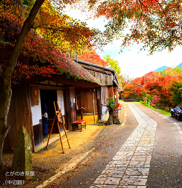 とがのき茶屋（中辺路）