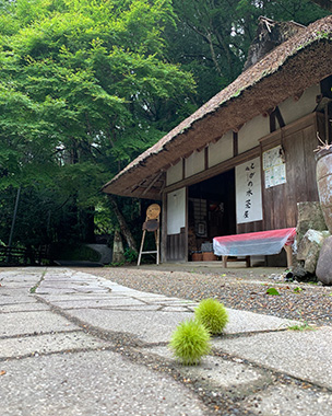 とがの木茶屋:genzontenshu